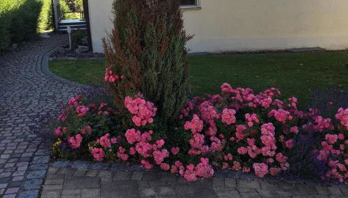 Ferienwohnung Reiner - Foto 2