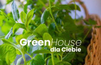 Green House - nad jeziorem z pomostem - Foto 18