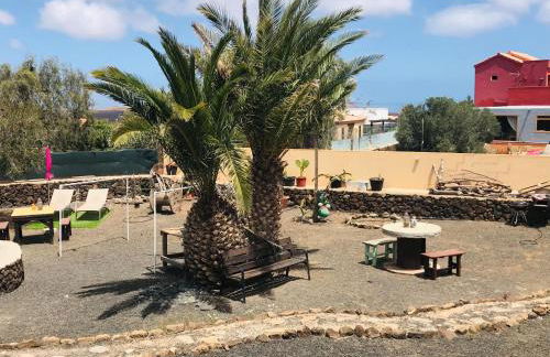 La Majorera - Foto 53