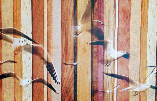 Ferienwohnung Achtern Diek, inklusive Stellplatz und Strandkorb von Mai bis September - Foto 13