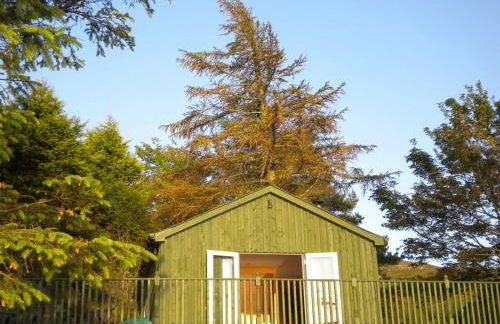 The Green House - Foto 19