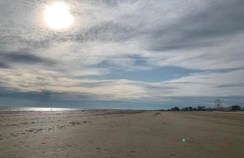 L'Horizon - Vue sur l'Océan - Foto 23