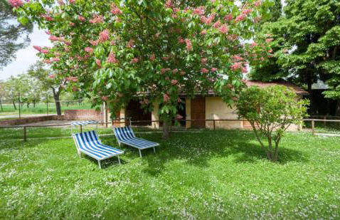 Guido's House - Foto 29