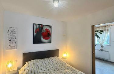 gîte 65 m2 200 m gare t-g-v et fac 400 m centre-ville grand parking 250 places gratuit face au logement - Foto 16