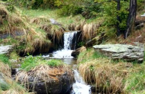 Les Forques de'n Pep - Foto 13