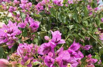 Apartment Alba - Photo 49