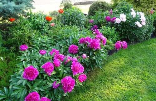 Ferienwohnung Lotte - Foto 43