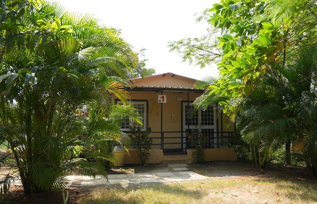 Bimal Farm Home Stay - Foto 14