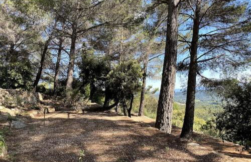 L'escapade dans le ciel - Foto 26