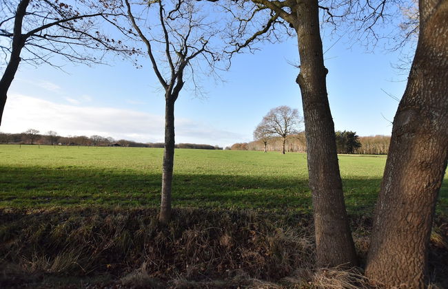 Rural Holiday Home With Terrace - Foto 20