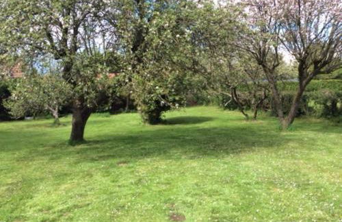 Country Studio Apartment - Foto 6