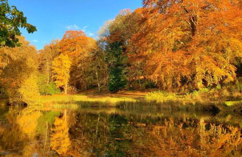 Dungarthill House - Foto 14