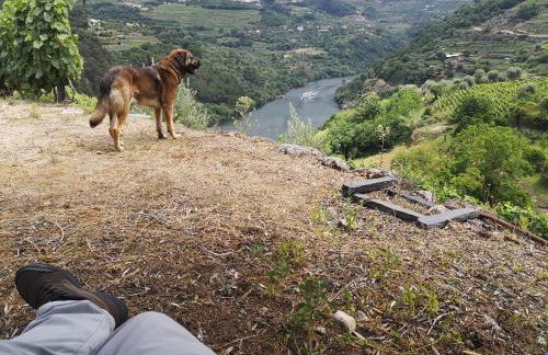 Quinta Barqueiros D'Ouro - Casa da Música - Photo 63