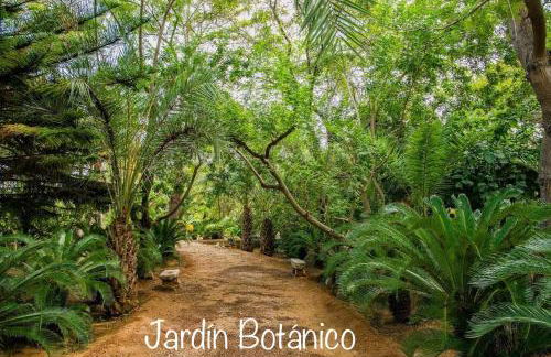 Apartamento en la playa Arensol Cullera - Foto 23