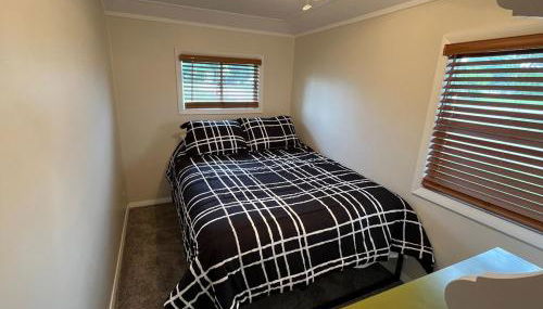 The little blue jay - Foto 3