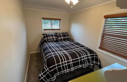 The little blue jay - Foto 3