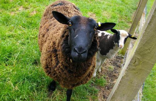 The Barton Annexe - Foto 31