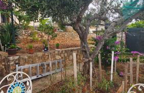 apartmantaja - Foto 14