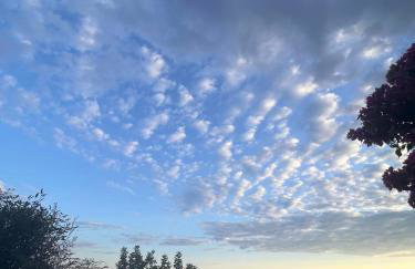 Villa Myrto - Foto 47