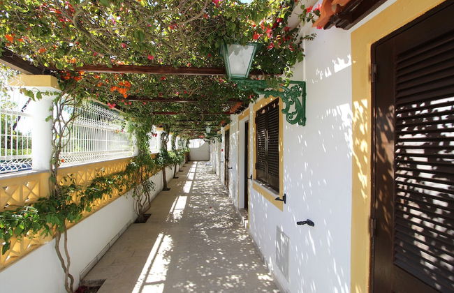 Muthu Balaia Sol - Photo 62