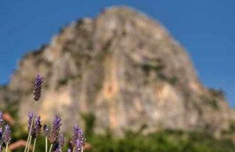 El Valle Dorado - Foto 46