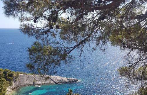 Revelin Hvar - Photo 53