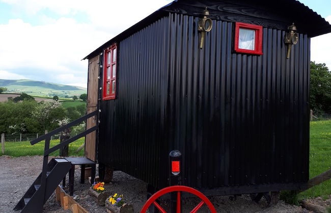 Meadow Shepherds hut - Photo 18