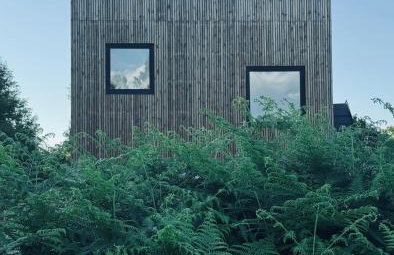 Zen Sasino - Foto 33