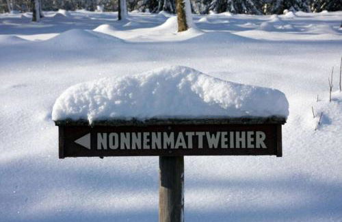 Ferienwohnung Hirschkopf - Foto 39