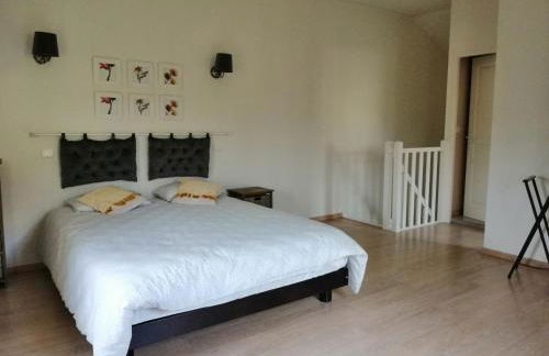 Gîte le cèdre bleu - Foto 9