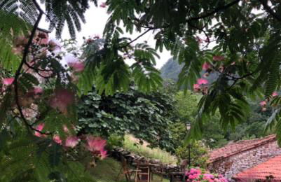 HdeC Hosteria de Castañeda Alojamiento Turistico - Foto 36