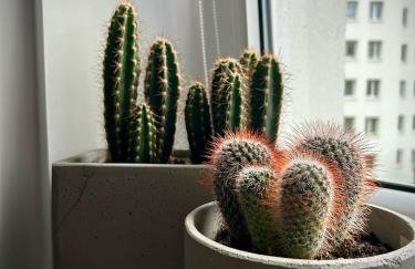 Metro Trocka Apartment - Foto 15