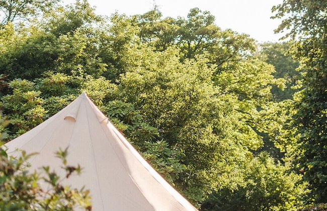 Ballyvolane House - Photo 20