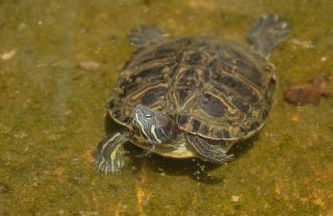 Mas Font - Nature Bike - Foto 20