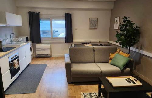 Joli Studio équipé ! Tout confort et central - Foto 1