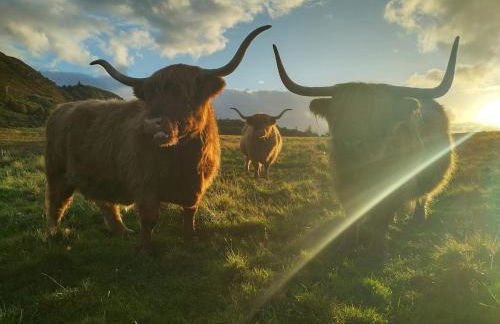 The Rising - Foto 17