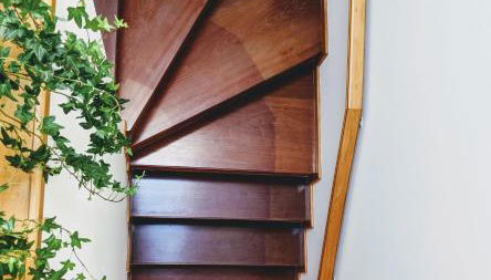 The Palm House - Foto 3