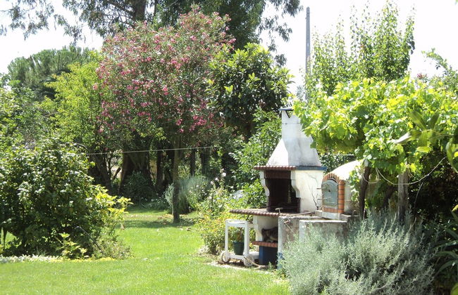 Quinta Retreat With Pool and Olive Grove - Foto 25