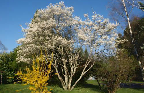 Le Rossignol - La Cipière Gîtes - Foto 33