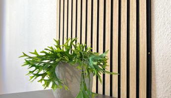 BEGE APARTMENTS Corporate Living - Foto 5