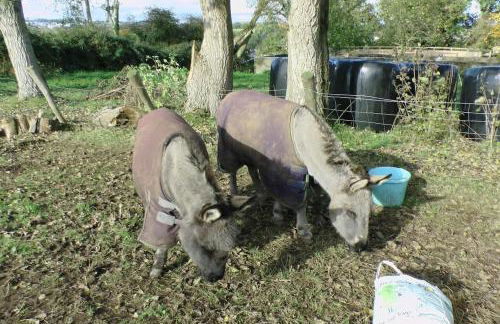 The Weaver's Cottage - Foto 12