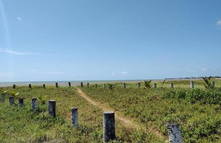 Paraiso Pitimbu - Foto 23