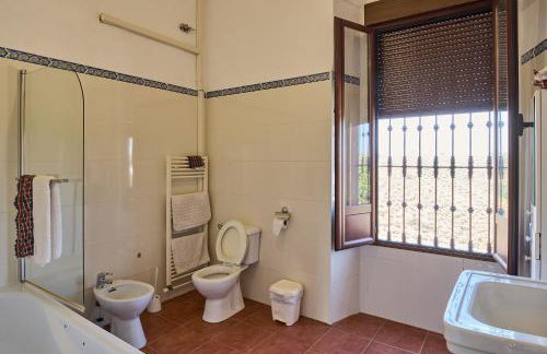 Molino Los Cardenes 1911 - Foto 16