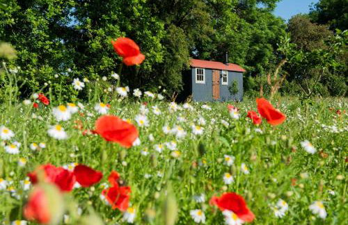 Wellbeing Orchard - Foto 44