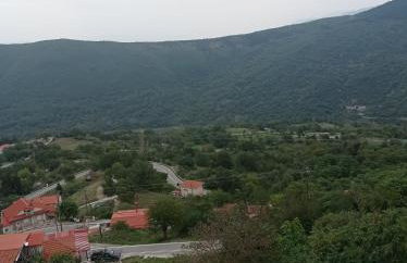 Άγρια Λούλουδα Κατοικία Ευτυχία - Photo 4