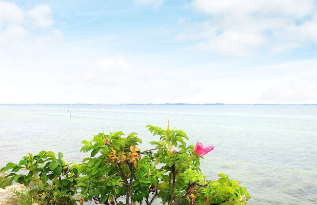 4 Person Holiday Home in Skarup Fyn - Foto 24