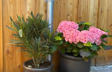 Ferienhaus Kleine Auszeit - Foto 42