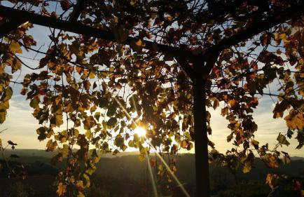 Quinta do Sobral de São Geraldo - Foto 14