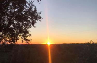 Casa 1-Quinta dos Penedos - Foto 55