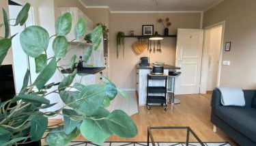 K2-Project - Gipfelstürmer - Über den Dächern von Schloßchemnitz - Foto 2, stove